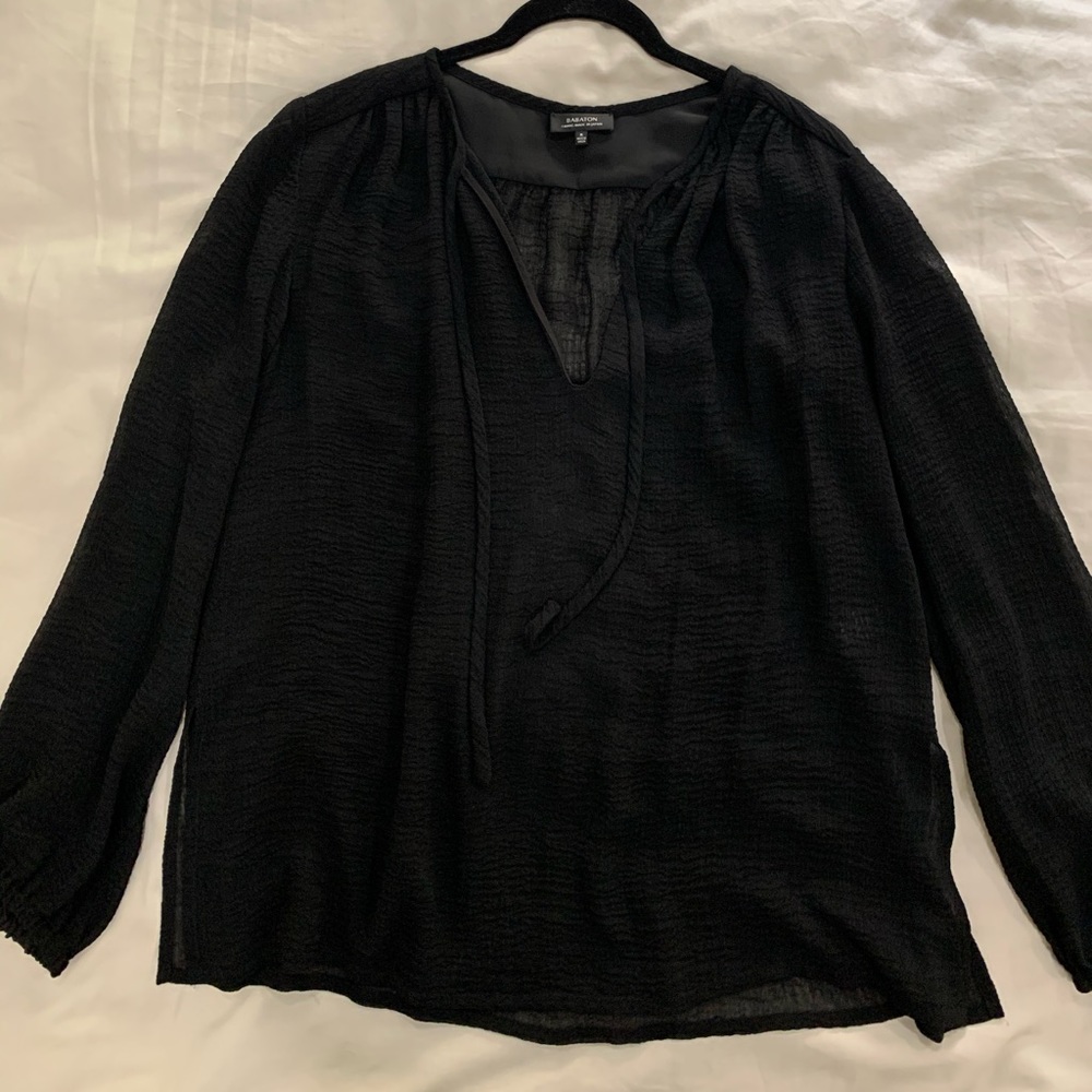 Aritzia Sheer Crinkle Blouse